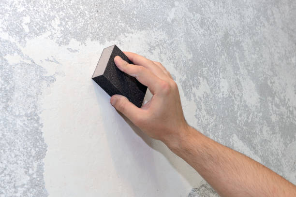 Best Airborne Mold Testing  in Village Of Waukesha, WI