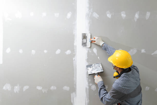 Best Water Damage & Mold Remediation  in Village Of Waukesha, WI